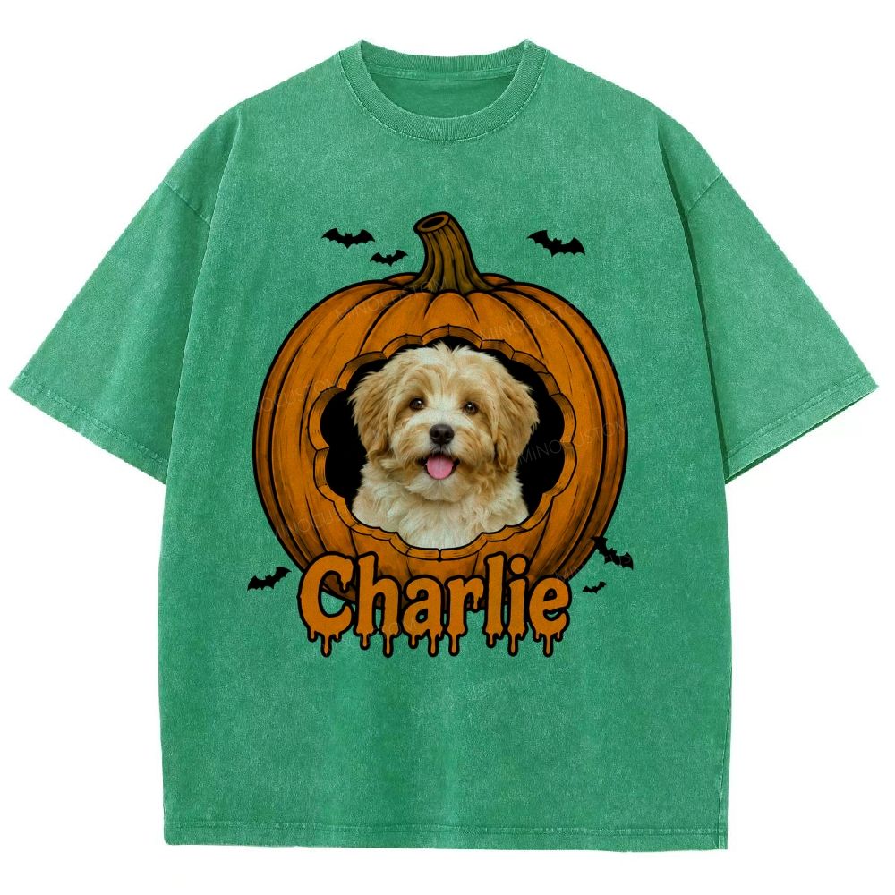 Personalized Pet Halloween Washed T-Shirt 