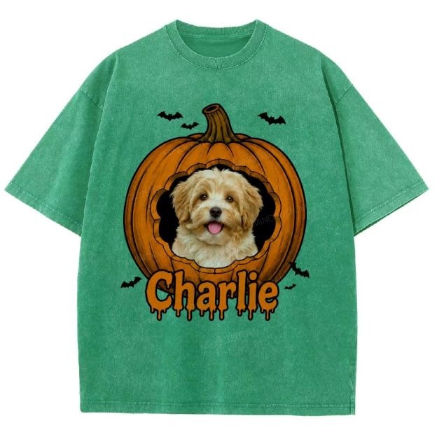 Personalized Pet Halloween Washed T-Shirt 