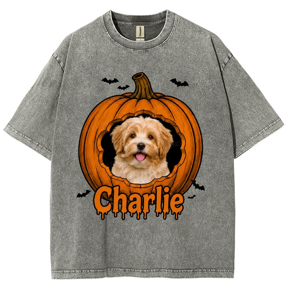 Personalized Pet Halloween Washed T-Shirt 