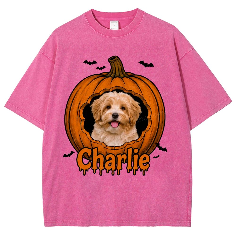 Personalized Pet Halloween Washed T-Shirt 