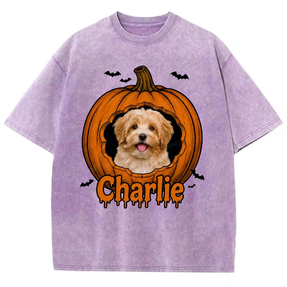 Personalized Pet Halloween Washed T-Shirt 