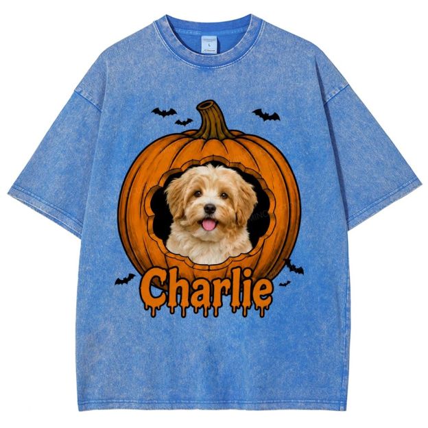 Personalized Pet Halloween Washed T-Shirt 