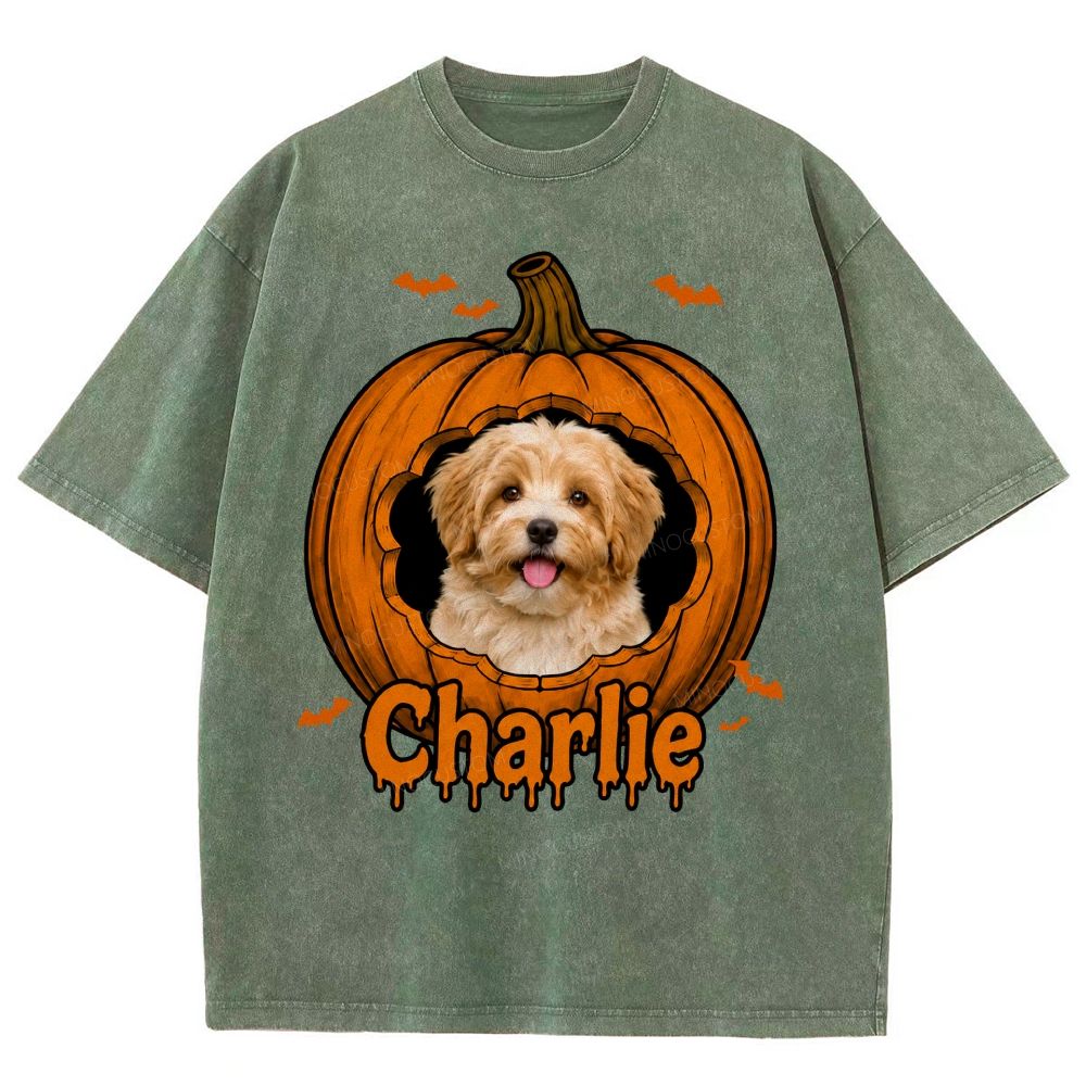 Personalized Pet Halloween Washed T-Shirt 