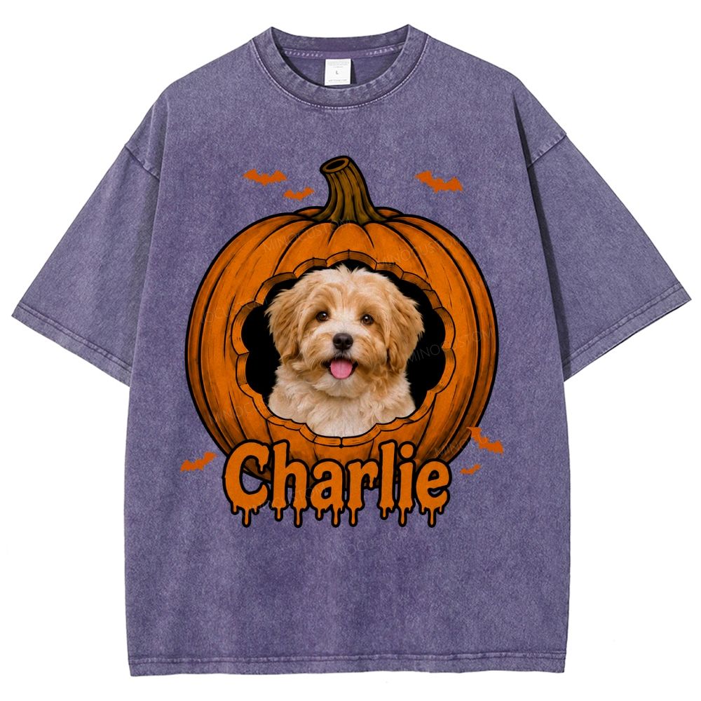 Personalized Pet Halloween Washed T-Shirt 