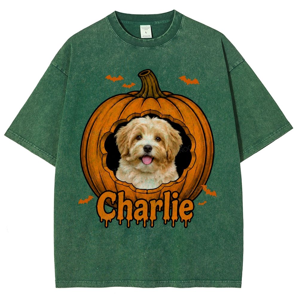 Personalized Pet Halloween Washed T-Shirt 
