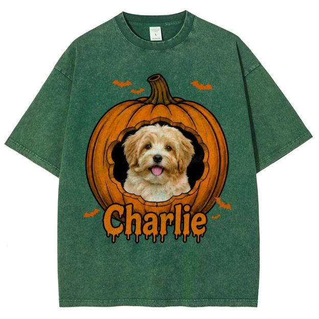 Personalized Pet Halloween Washed T-Shirt 