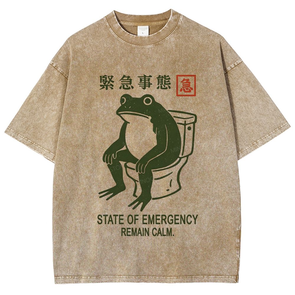 Vintage Washed Funny Frog On Toilet Graphic Washed T-Shirt
