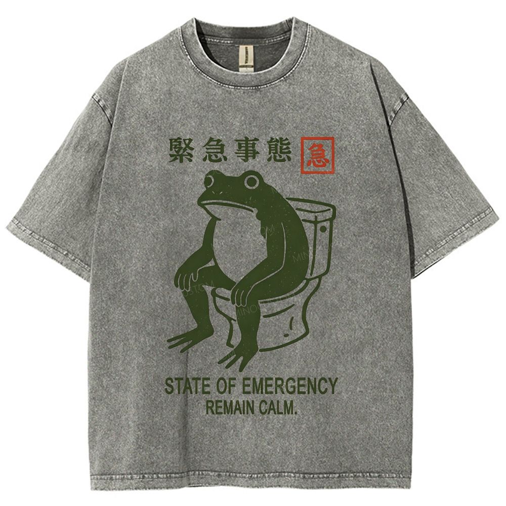 Vintage Washed Funny Frog On Toilet Graphic Washed T-Shirt
