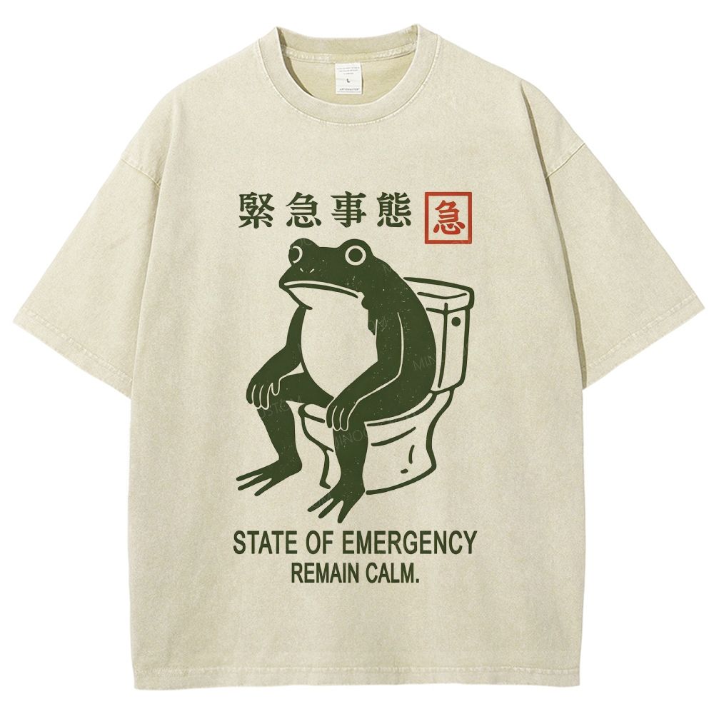 Vintage Washed Funny Frog On Toilet Graphic Washed T-Shirt