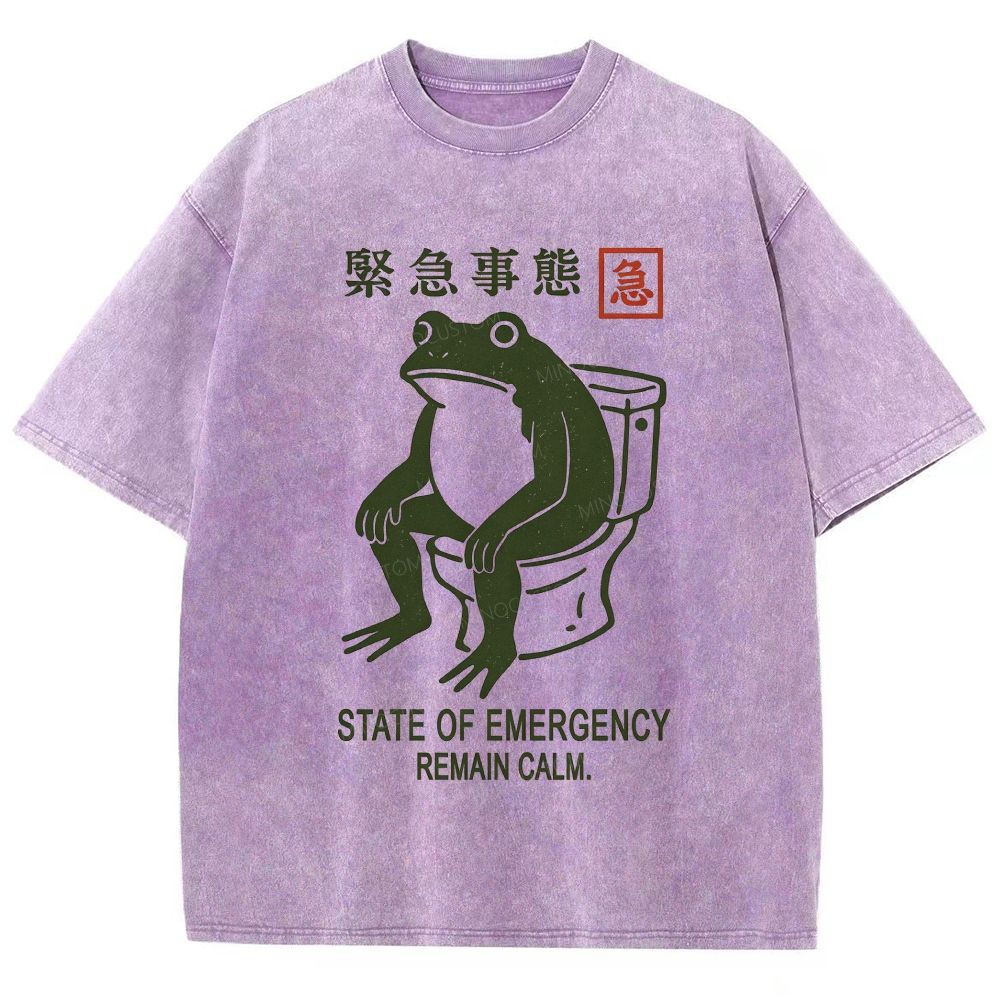 Vintage Washed Funny Frog On Toilet Graphic Washed T-Shirt