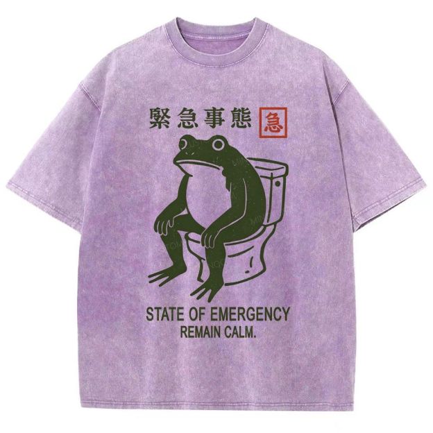 Vintage Washed Funny Frog On Toilet Graphic Washed T-Shirt