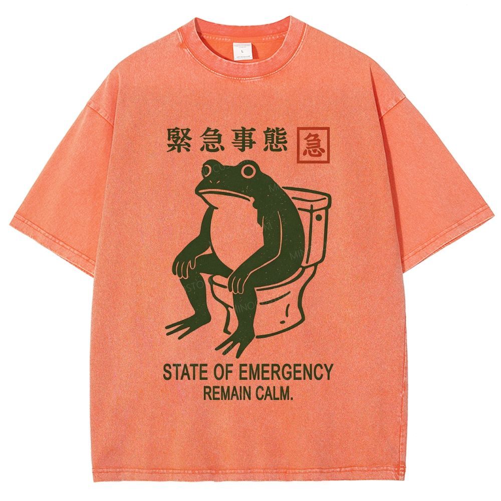 Vintage Washed Funny Frog On Toilet Graphic Washed T-Shirt