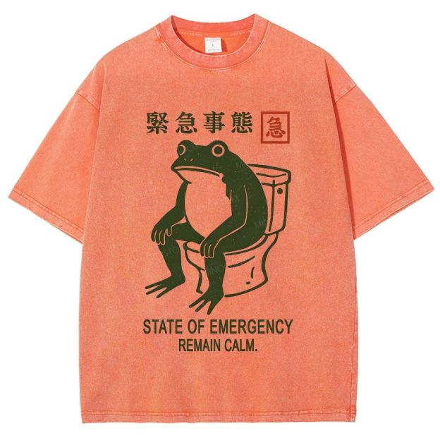 Vintage Washed Funny Frog On Toilet Graphic Washed T-Shirt