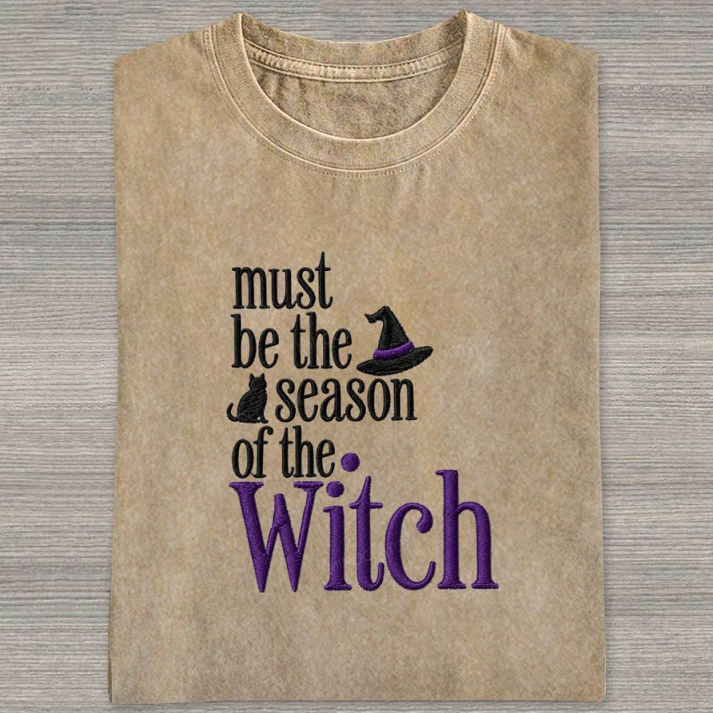 Washed T-shirt 2608010138