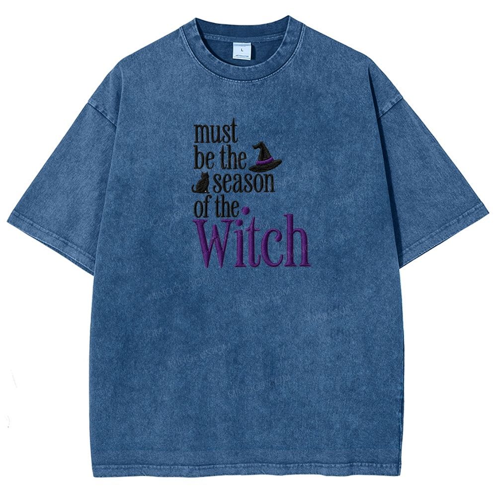 Washed T-shirt 2608010138