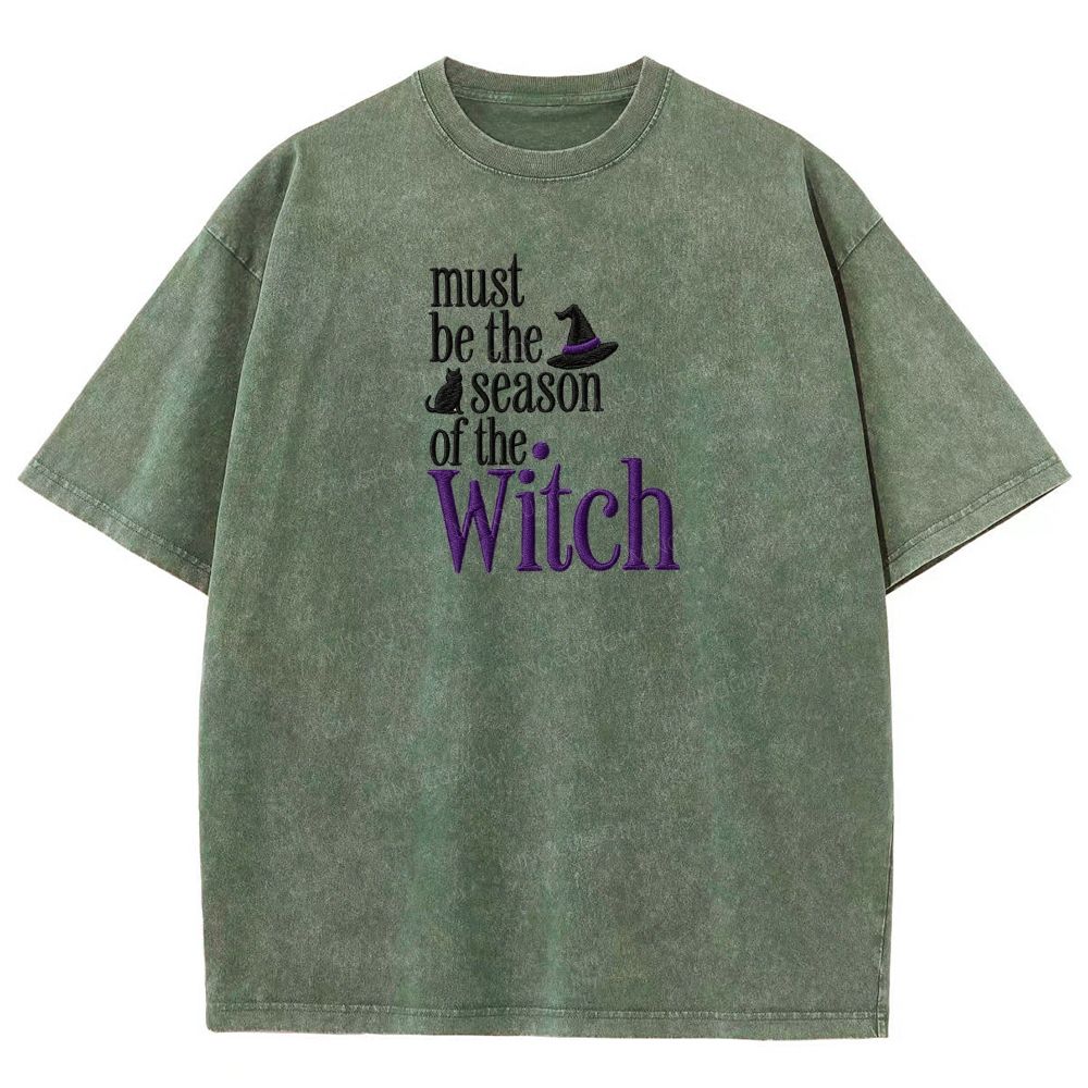 Washed T-shirt 2608010138