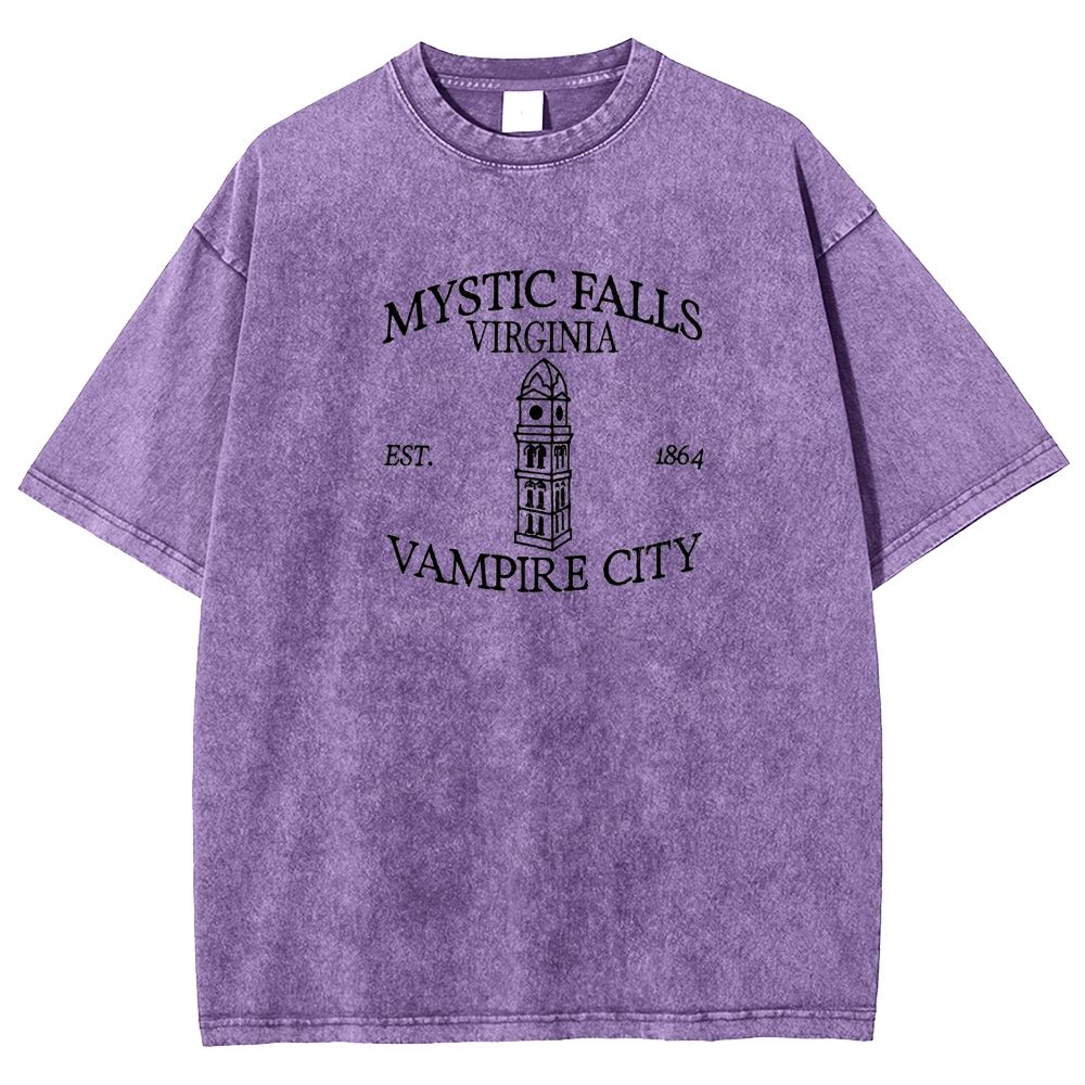 Embroidered Mystic Falls Vampire City Washed T-shirt 