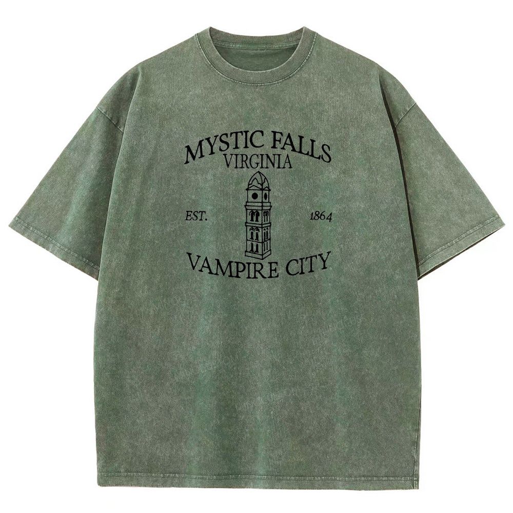 Embroidered Mystic Falls Vampire City Washed T-shirt 