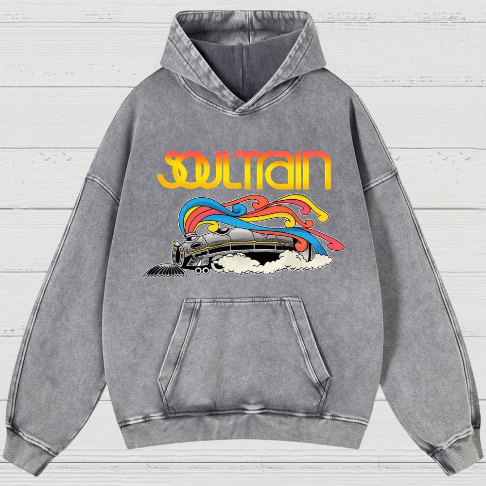 Washed Hoodies 2608010840