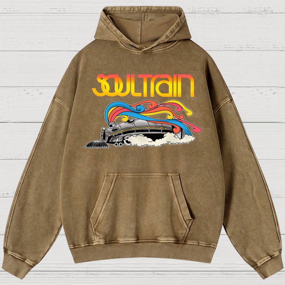 Washed Hoodies 2608010840