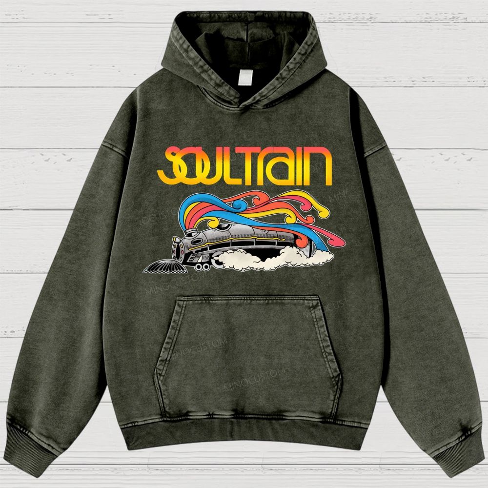 Washed Hoodies 2608010840
