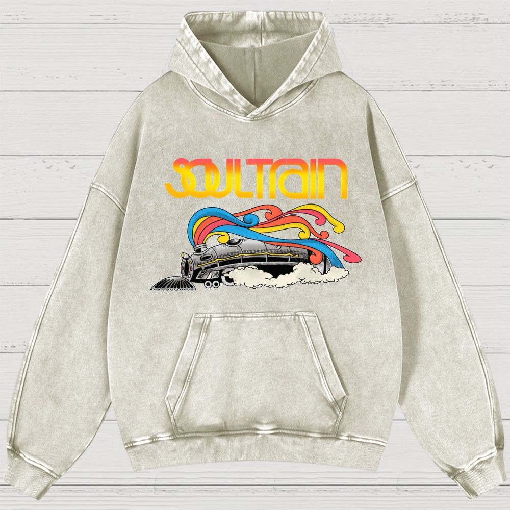 Washed Hoodies 2608010840