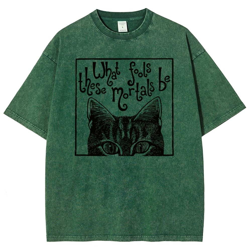Block Framed Tabby Cat Peeking Vintage Curly Poem Washed T-shirt