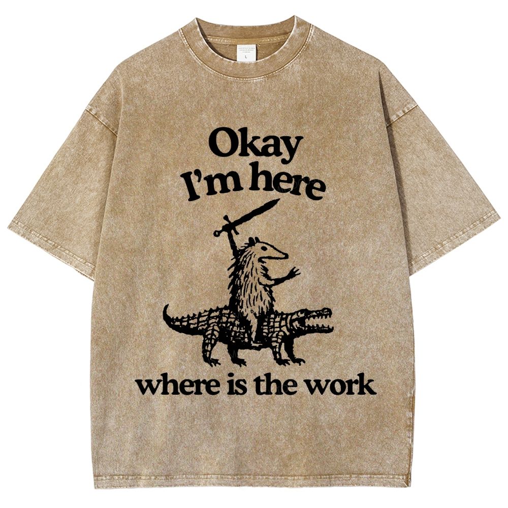 Funny Armadillo Riding Alligator Sword Humor Unisex Fit Washed T-Shirt
