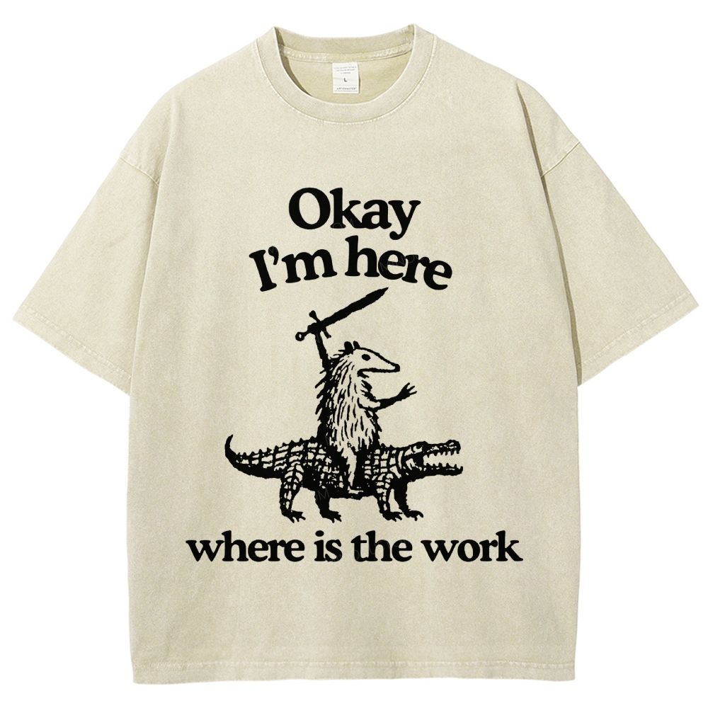 Funny Armadillo Riding Alligator Sword Humor Unisex Fit Washed T-Shirt