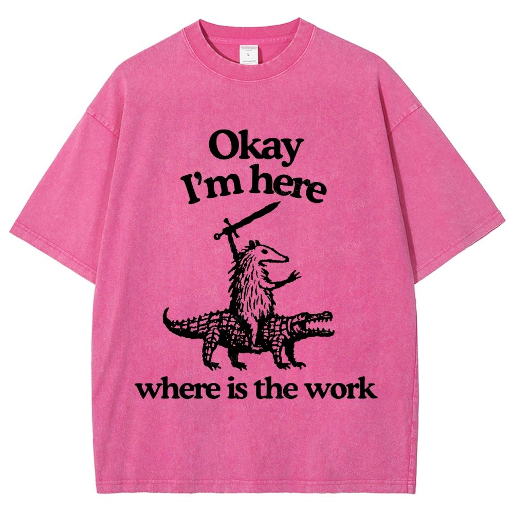 Funny Armadillo Riding Alligator Sword Humor Unisex Fit Washed T-Shirt