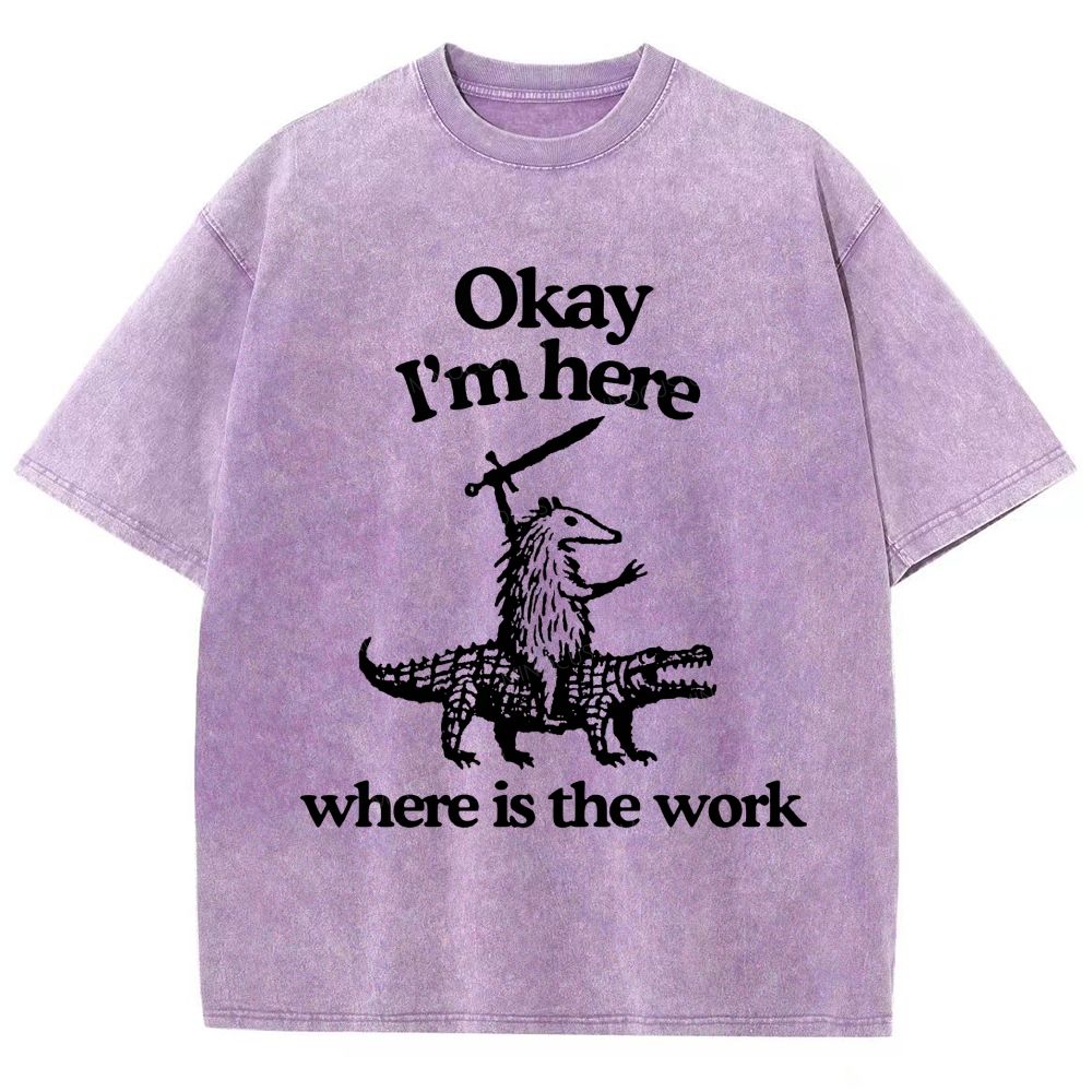 Funny Armadillo Riding Alligator Sword Humor Unisex Fit Washed T-Shirt