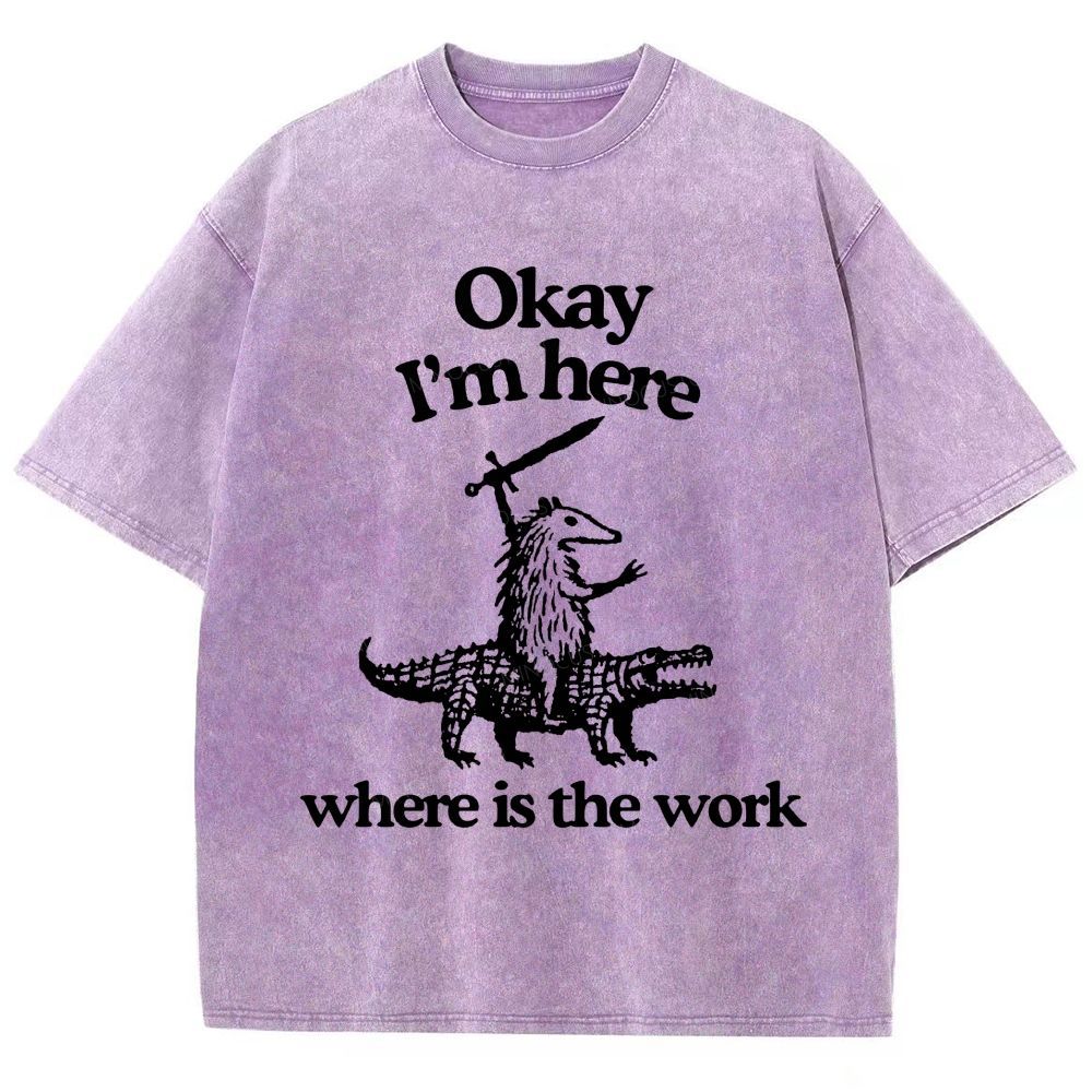 Funny Armadillo Riding Alligator Sword Humor Unisex Fit Washed T-Shirt