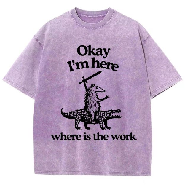 Funny Armadillo Riding Alligator Sword Humor Unisex Fit Washed T-Shirt