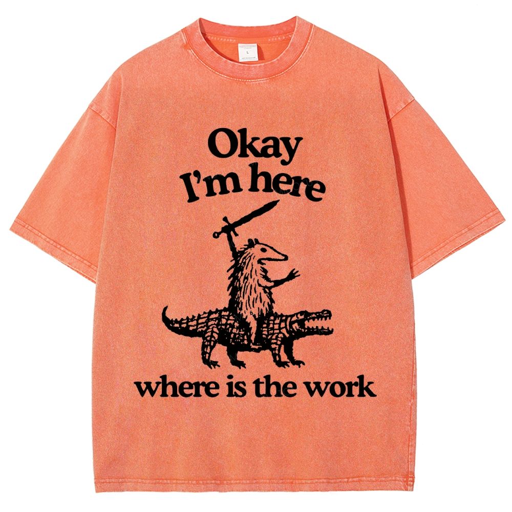 Funny Armadillo Riding Alligator Sword Humor Unisex Fit Washed T-Shirt
