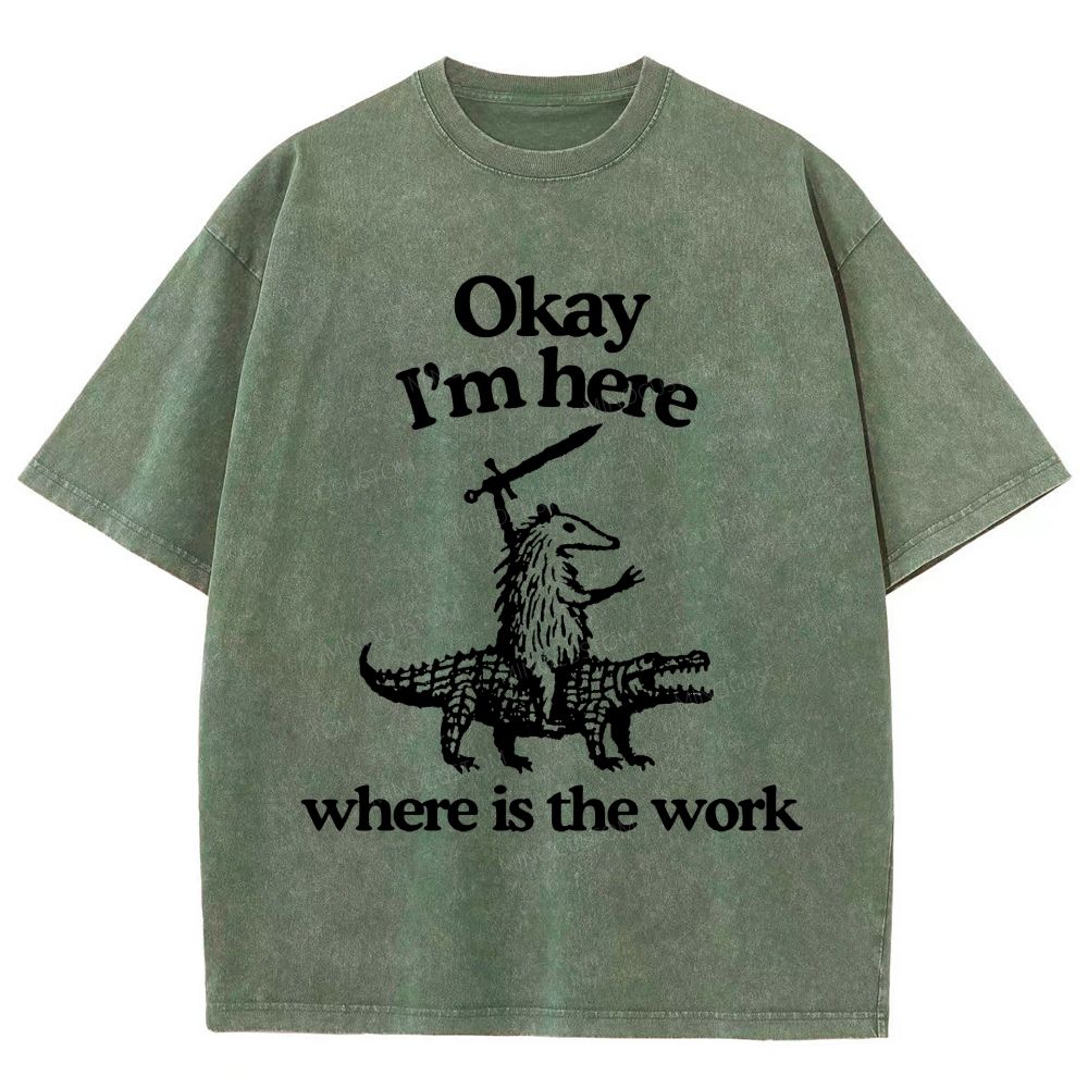Funny Armadillo Riding Alligator Sword Humor Unisex Fit Washed T-Shirt