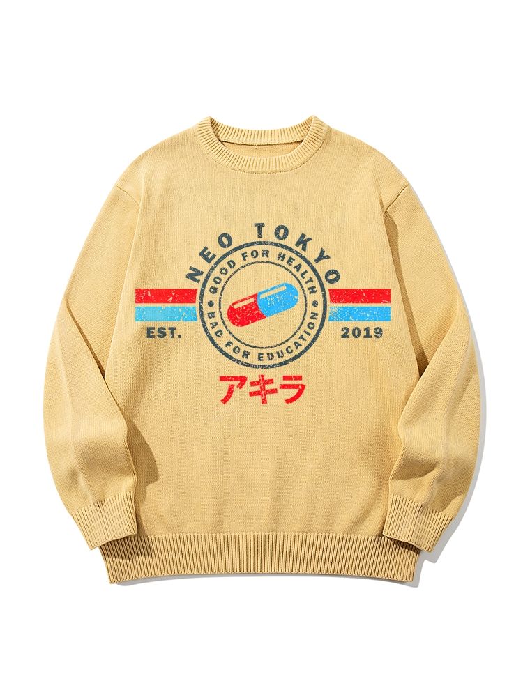 The Capsules Neo Tokyo Vibes Unisex Pure Cotton Casual Style Sweater