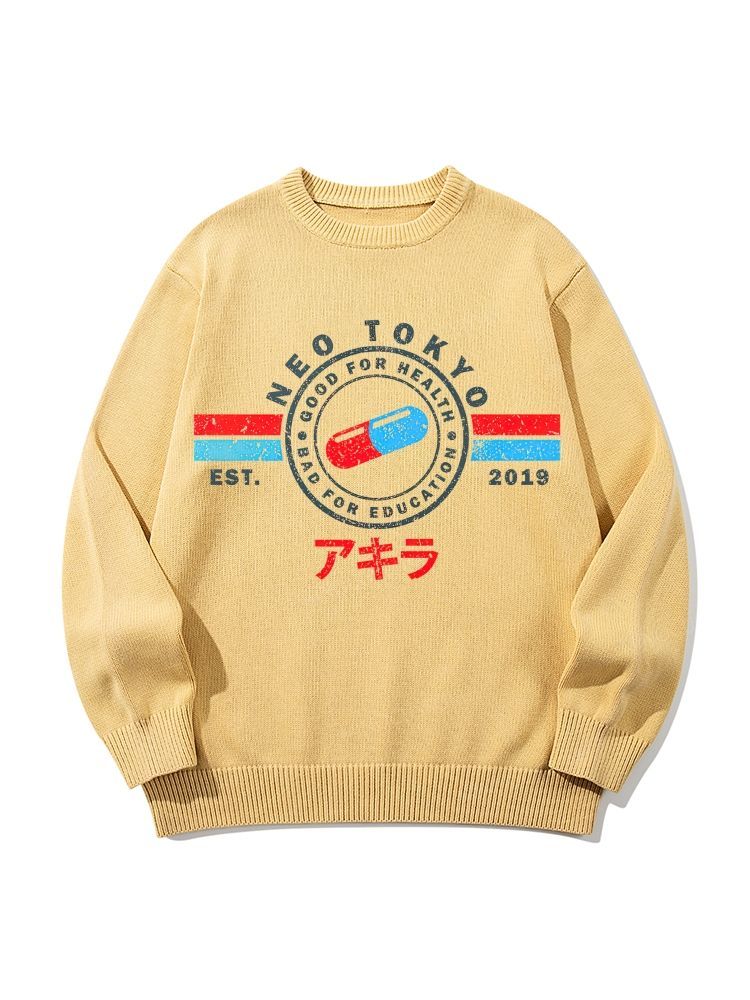 The Capsules Neo Tokyo Vibes Unisex Pure Cotton Casual Style Sweater