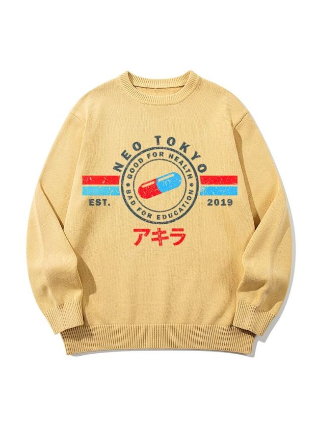The Capsules Neo Tokyo Vibes Unisex Pure Cotton Casual Style Sweater