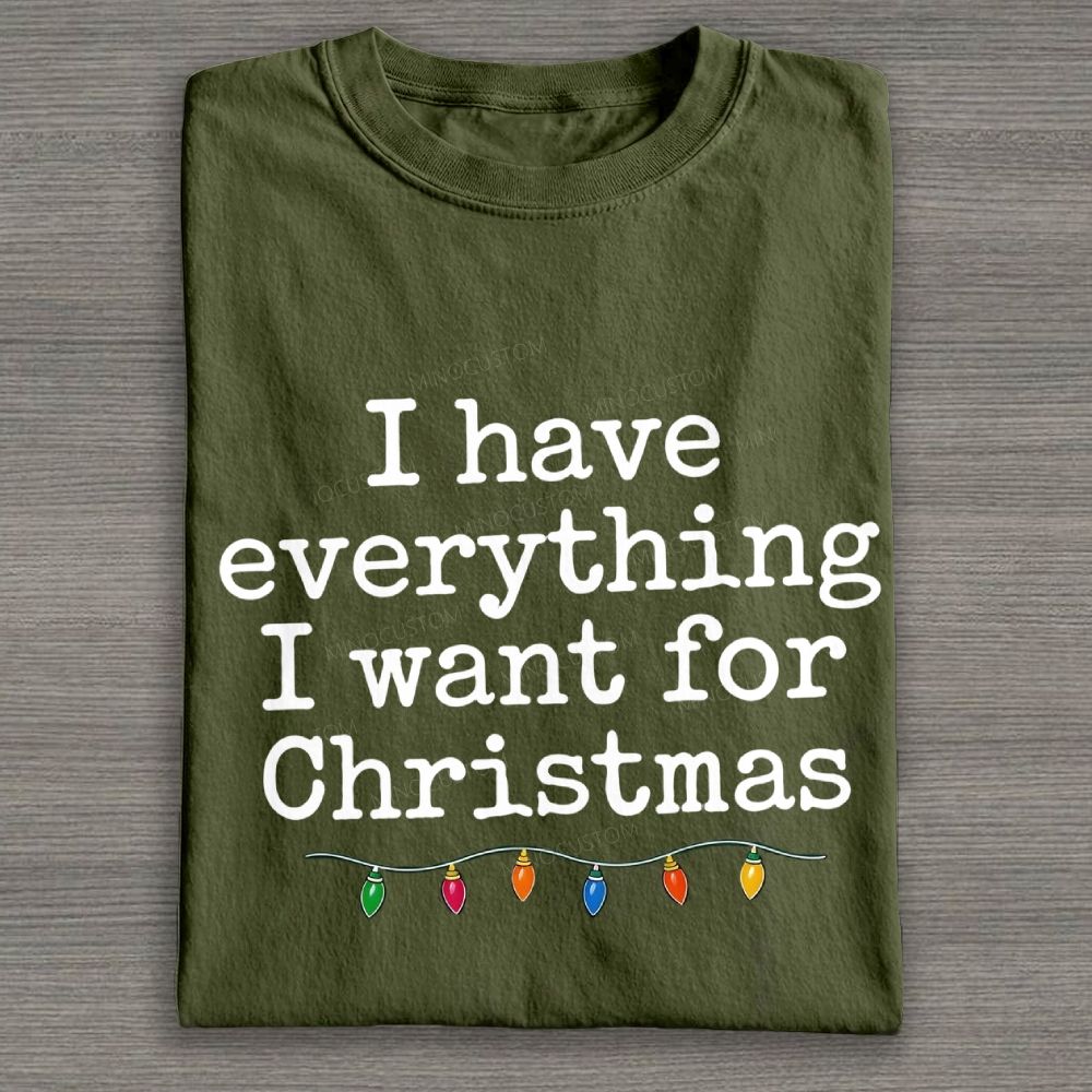 Minimalist Christmas Lights I Have Everything I Want For Christmas Cotton T-shirt