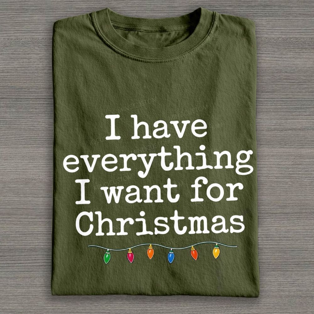 Minimalist Christmas Lights I Have Everything I Want For Christmas Cotton T-shirt