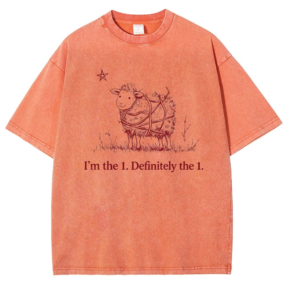 I'm the 1 Definitely the 1 Cute Sheep Pentagram Washed T-shirt