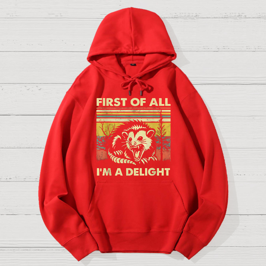 First Of All I'm A Delight Sarcastic Geek Cotton Hoodie