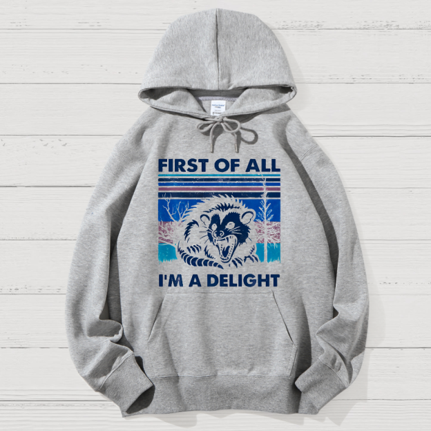 First Of All I'm A Delight Sarcastic Geek Cotton Hoodie
