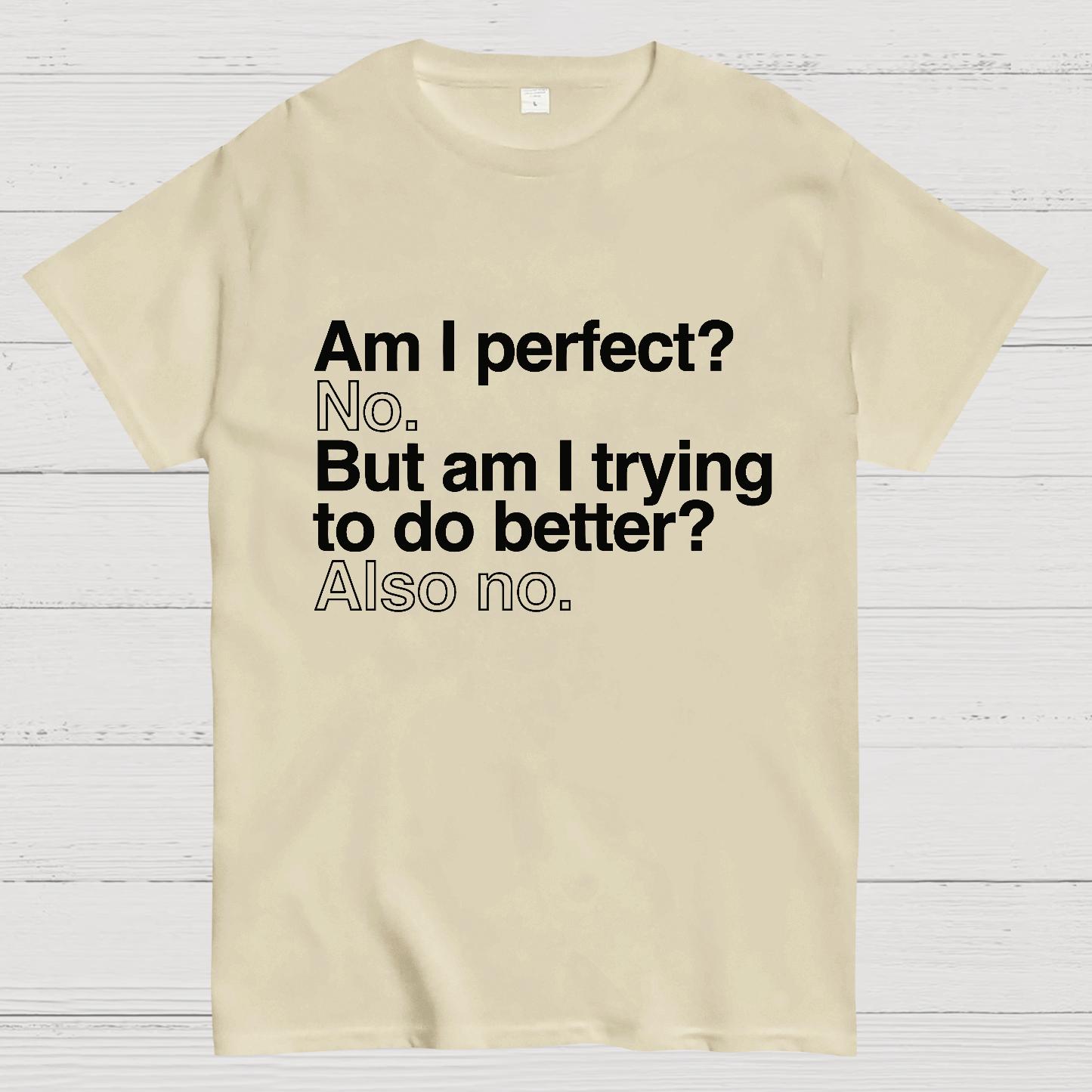 Am I Perfect No Nerdy T-Shirt