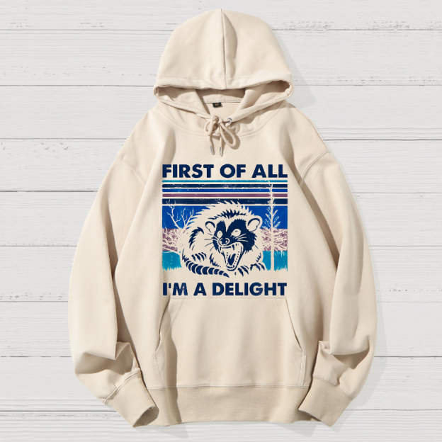First Of All I'm A Delight Sarcastic Geek Cotton Hoodie