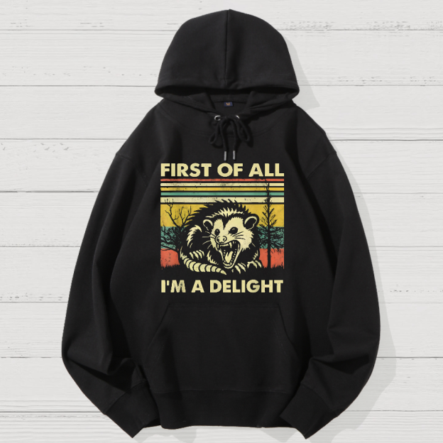 First Of All I'm A Delight Sarcastic Geek Cotton Hoodie