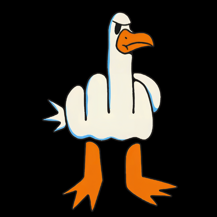 Rude Seagull Design Funny Geek Cotton Hoodie