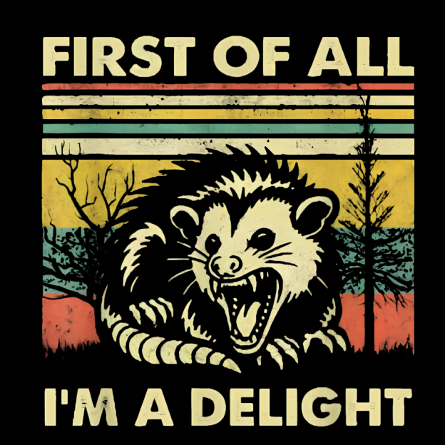First Of All I'm A Delight Sarcastic Geek Cotton Hoodie