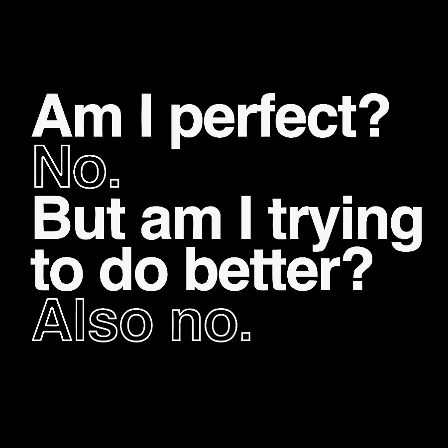 Am I Perfect No Nerdy T-Shirt