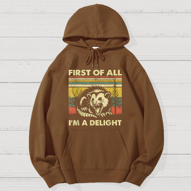First Of All I'm A Delight Sarcastic Geek Cotton Hoodie